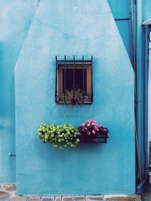 鲜花，篮子，花盆，窗口，酒吧，蓝色，墙壁，房子