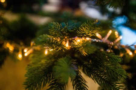 圣诞节，树，灯，装饰，节日，假期