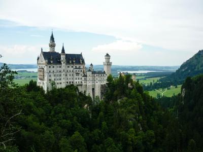 新天鹅堡，巴伐利亚，德国，建筑，景观，树，绿色，丘陵，性质，视图
