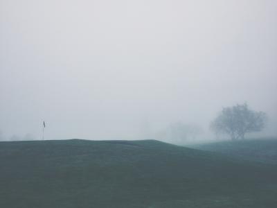 高尔夫球场，体育，绿色，国旗，针，草，树木，航道，雾，灰色