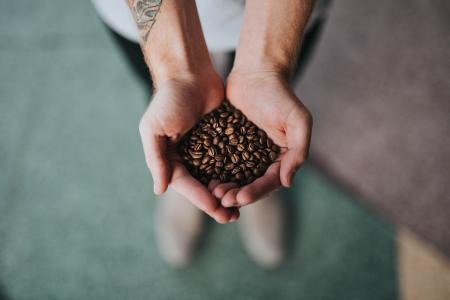 手，手掌，咖啡，豆类，种子