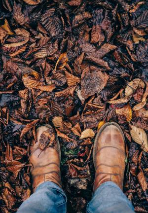 鞋，鞋类，旅行，牛仔裤，牛仔布，叶，秋天，秋天，湿