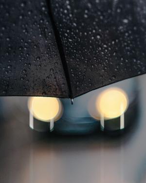 黑色，雨伞，水，滴，下雨，外，模糊，散景