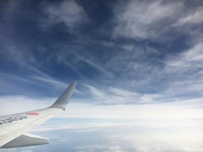 飞机，航空公司，旅行，旅行，蓝色，天空，飞行