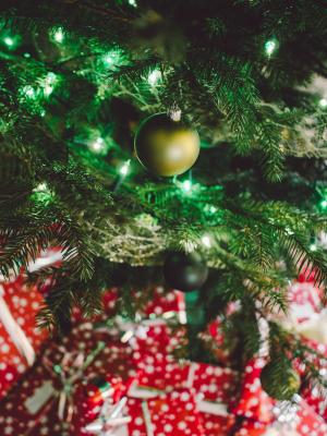 圣诞节，树，灯，装饰，饰品，节日，假期，礼物，包装，弓，礼品，常绿