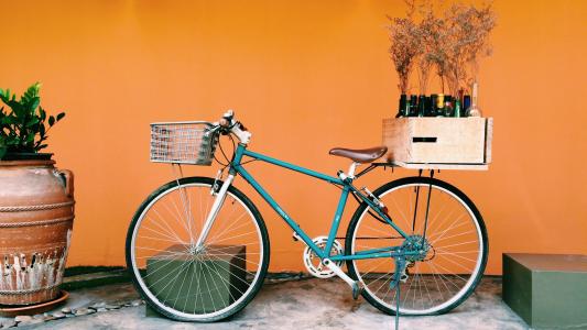 自行车，自行车，审美，植物，花盆，锅，花瓶，饮料，饮料，设计