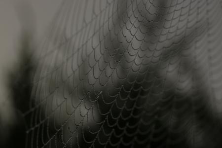 网，黑色和白色，单色，绳子，网