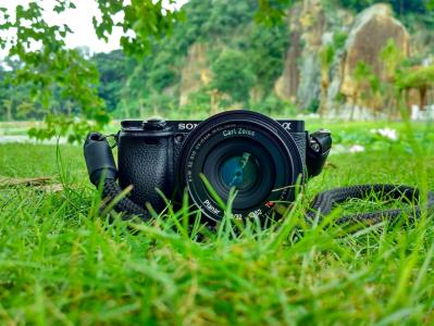 摄像机，镜头，数码单反相机，摄影，黑色，绿色，草，游乐场，户外，自然，视图