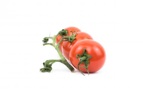 番茄，植物，作物，水果，红色，新鲜，叶子，绿色