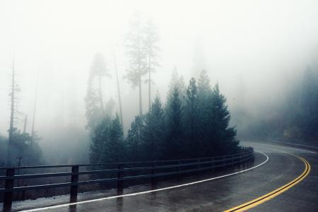 蜿蜒，路，栏杆，护栏，雾，雾，树木，森林，山