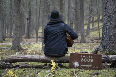 音乐家，吉他，乐器，音乐，森林，树林，自然，案件，人