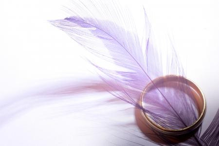 紫色，羽毛，黄金，戒指，对象