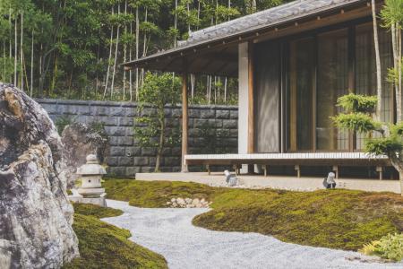 日本，文化，房子，绿色，自然，花园，树木，玻璃，窗口，窗帘
