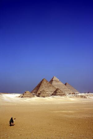 埃及，沙漠，动物，骆驼，沙，结构，建筑，金字塔，天空，蓝色，黄色