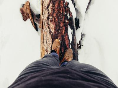 雪，冬季，寒冷，鞋类，鞋，树，木，冒险，户外
