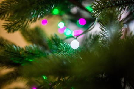 圣诞节，树，灯，装饰品，饰品，节日，假期
