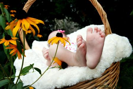 婴儿，脚，篮子，鲜花，家庭