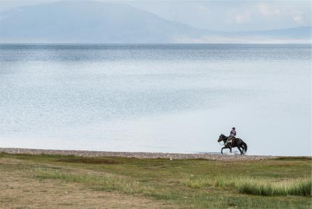 骑马，湖，水，男人，家伙，动物，草