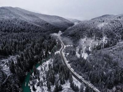 ukraine, travel, winter, snow, forest, trees, road, river, black&white