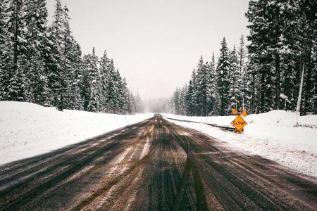 自然，树，路，雪，冷，方式，旅行，阴霾