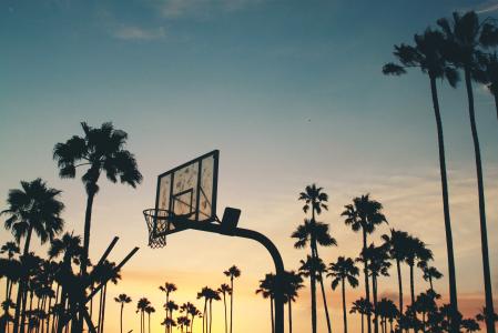 篮球，法院，网，边，日落，黄昏，天空，云，棕榈树，夏天，晚上