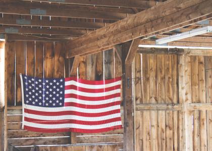 美国，国旗，星条旗，美国，美国，木材，客舱，原木