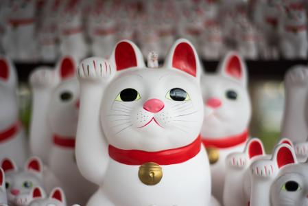 猫，雕像，日本，显示，收藏