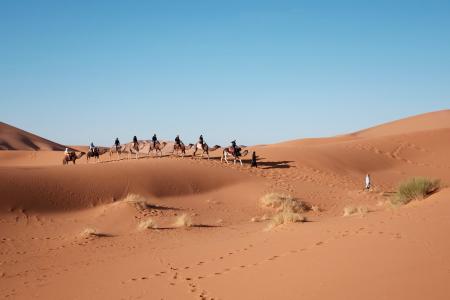 人，骑，走，骆驼，沙漠，棕色，脚印，沙，绿色，草，蓝色，天空