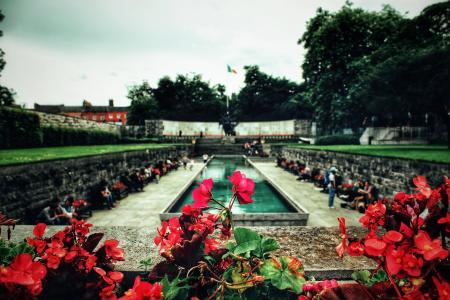 纪念花园，都柏林，爱尔兰，爱尔兰国旗，公园，鲜花，性质