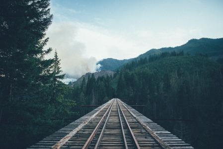 木材，火车轨道，铁路，铁路，桥，树，森林，自然，天空