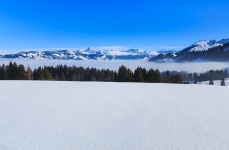 300 dpi -RGB自然风景冬天冬天景色斯诺兹云杉树绿色雪下雪白色峰顶山峰山脉山坡山脉云雾雾天空瑞士阿尔卑斯山阿尔卑斯山瑞士阿尔卑斯山瑞士阿尔卑斯山瑞士阿尔卑斯山阿尔卑斯山瑞士