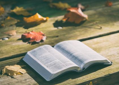 圣经，书，阅读，表，叶，秋天，秋天