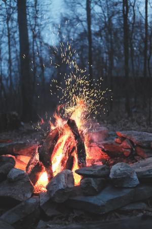 性质，火，篝火，露营，户外，森林，森林，火花，石，木材