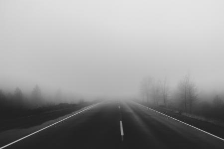路，农村，雾，树木，阴霾，灰色，黑色和白色