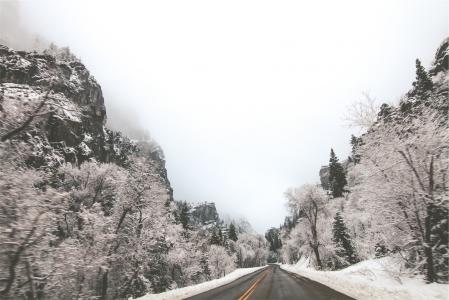 路，冬天，冰，冻结，冻结，树木，路面，雪，雾，农村，悬崖