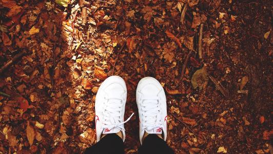 耐克，鞋，运动鞋，白色，叶子，秋天，秋天