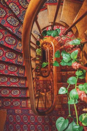 楼梯，楼梯，地毯，木材，螺旋，艺术，设计，绿色，植物