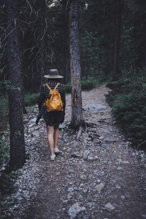 黑暗，人，孤独，女孩，走，徒步旅行，森林，植物，树木，通路，旅行，冒险，户外，性质