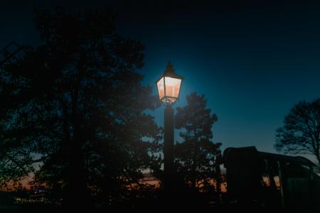 杆，灯，外面，树，植物，夜，光，天空