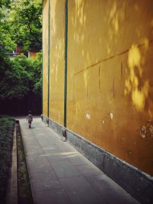 庙，墙，步行，包，中国，黄色