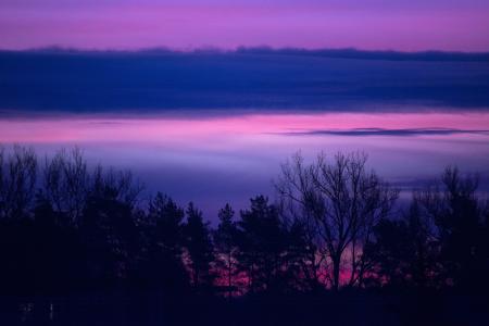 日出，黎明，早上，景观，性质，树，天空，云，紫色