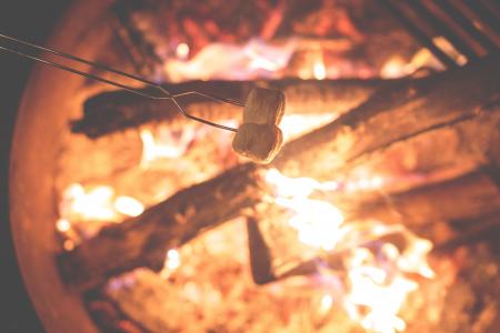 烤，棉花糖，篝火，火，火焰，露营，木材，原木，户外
