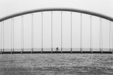桥，建筑，骑单车，自行车，骑自行车的人，健身，锻炼，湖，水，黑色和白色