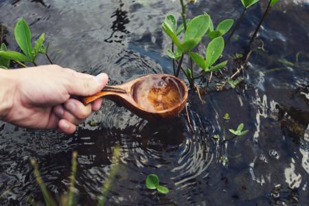 木，勺子，河，水，植物，手