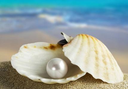 珍珠，贝壳，珍珠，海洋，沙子