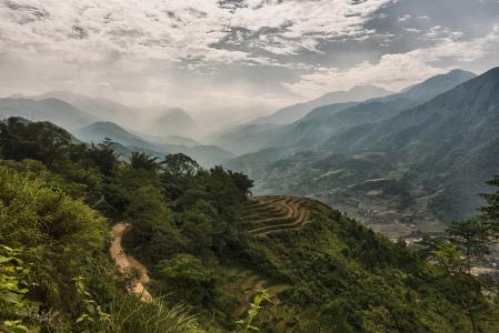 山，森林，越南，雾，山谷