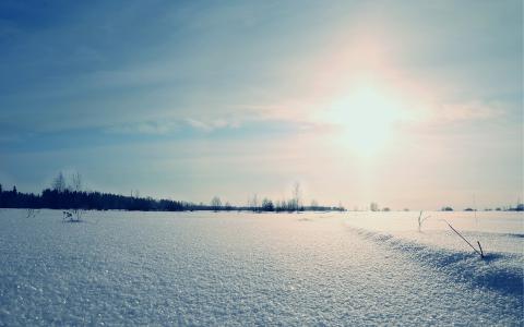 冬季景观，田地，黎明，雪花，阳光