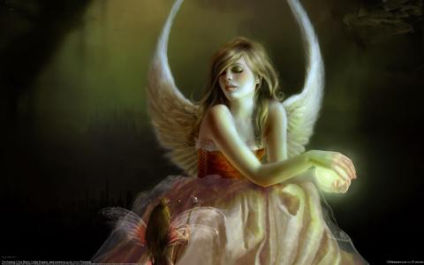 女孩，天使，小精灵，魔术，翅膀，起诉marino