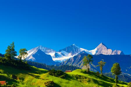 瑞士，山，阿尔卑斯山，阿尔卑斯山，阿尔卑斯山，瑞士