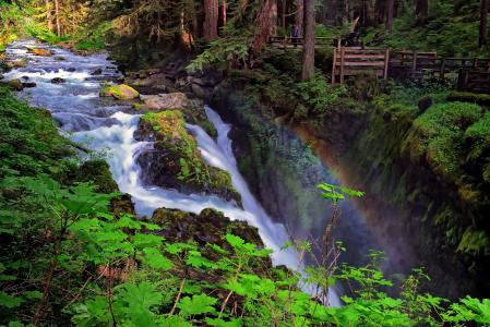 索尔杜克瀑布，奥林匹克国家公园，华盛顿瀑布，彩虹，河流，木材